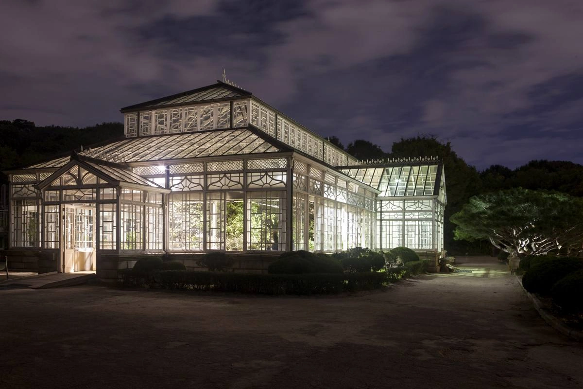 Освещение в теплице: как добиться большого урожая