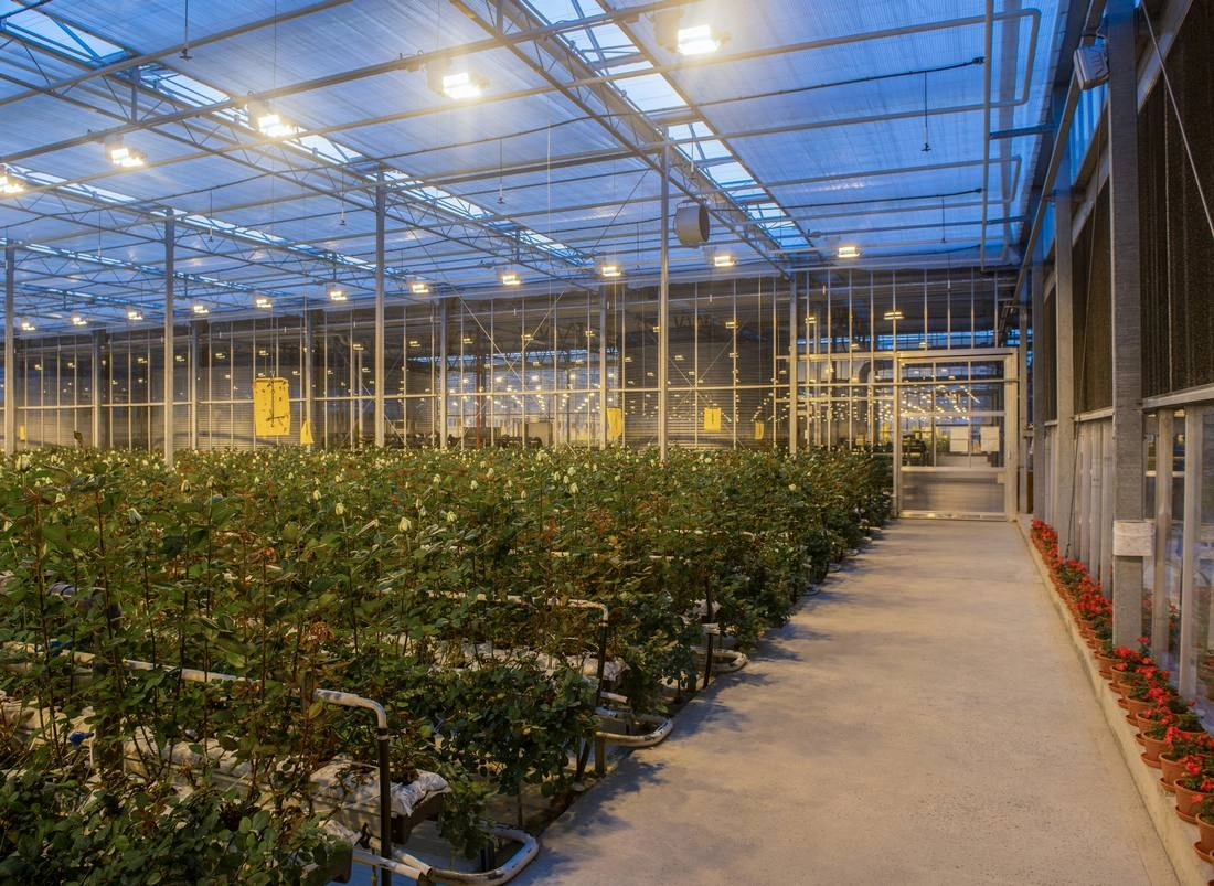 Освещение для теплиц