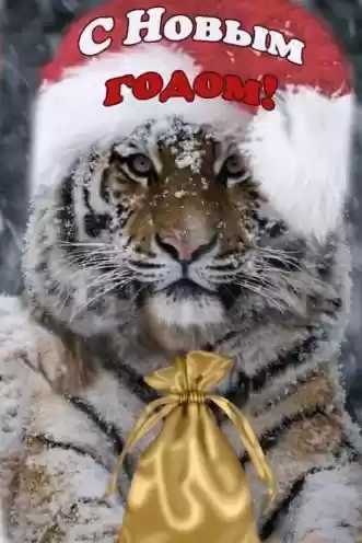 Наша дружная компания Master LED, поздравляет всех-всех с наступающим НОВЫМ ГОДОМ!